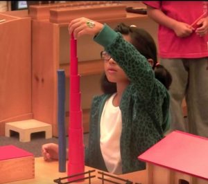 Knobless Cylinders Montessori Education Program Sensory Activity