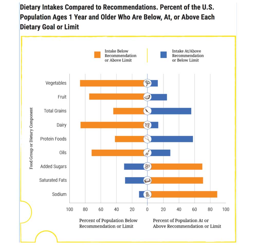 American Diet Compared to USDA Daily Food Recommendations