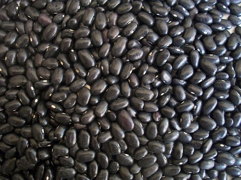 Black Beans Superfood Should Be Eaten Daily