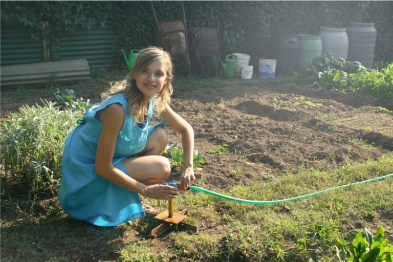 Getting Started with Food Gardening